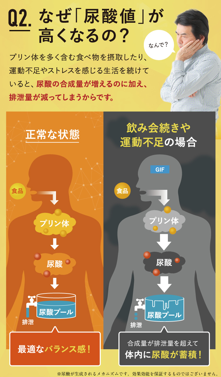 なぜ尿酸値が高くなるの？