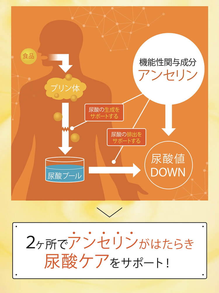 アンセリンの作用