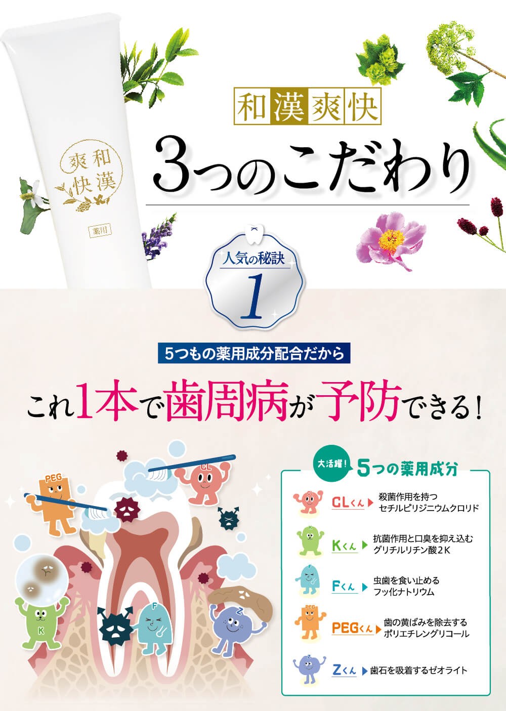 ５つの有効成分
