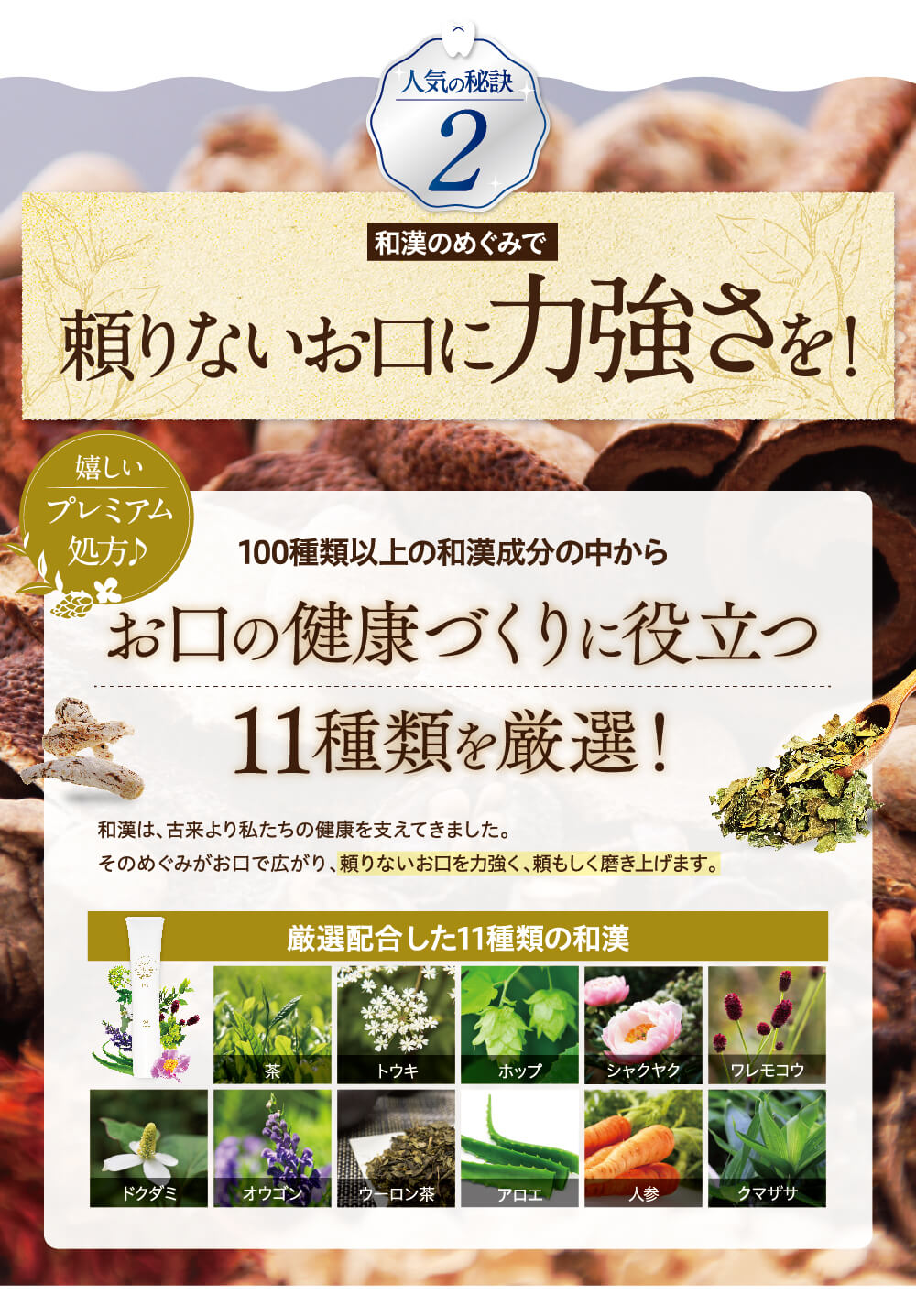 １１種類の和漢成分を配合