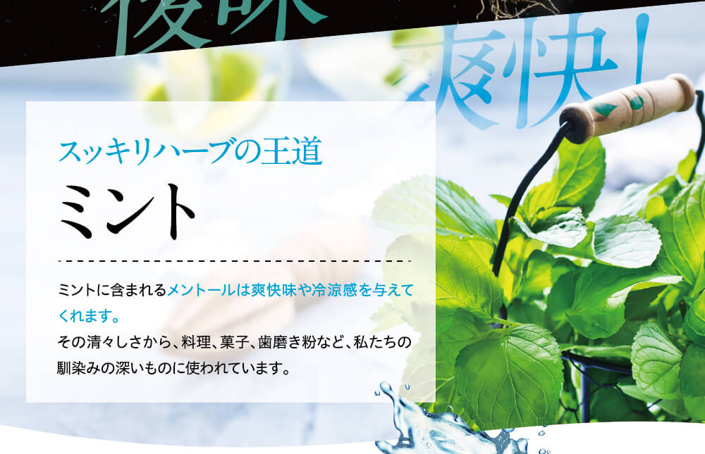 ミントフレーバー