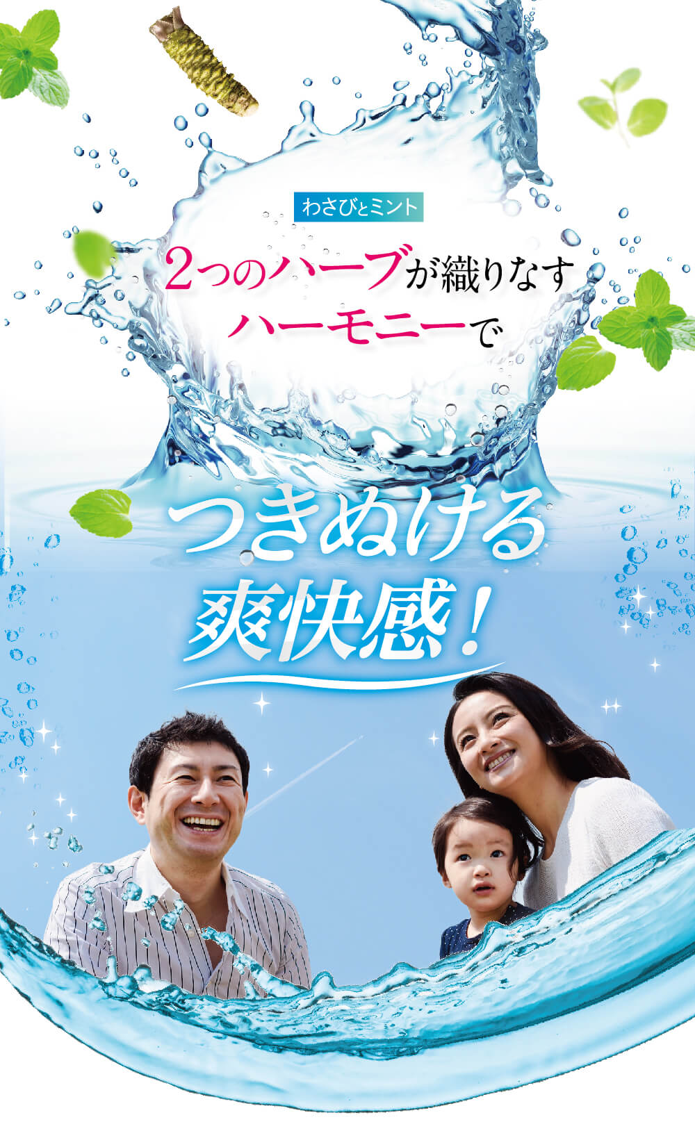 ２つのハーブでつきぬける爽快感