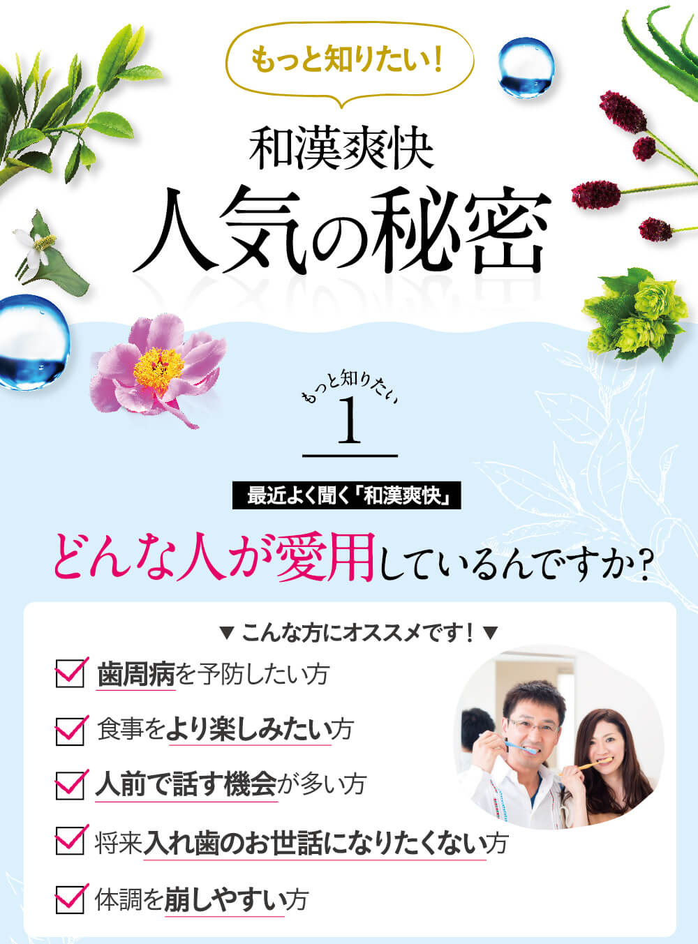 もっと知りたい人気の秘密１